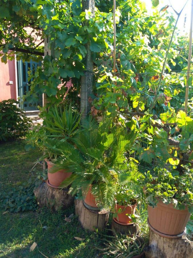 Bella Di Notte Apartment San Giorgio a Liri Екстериор снимка