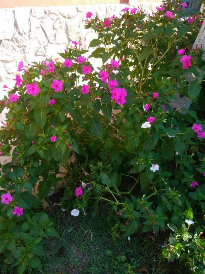 Bella Di Notte Apartment San Giorgio a Liri Екстериор снимка